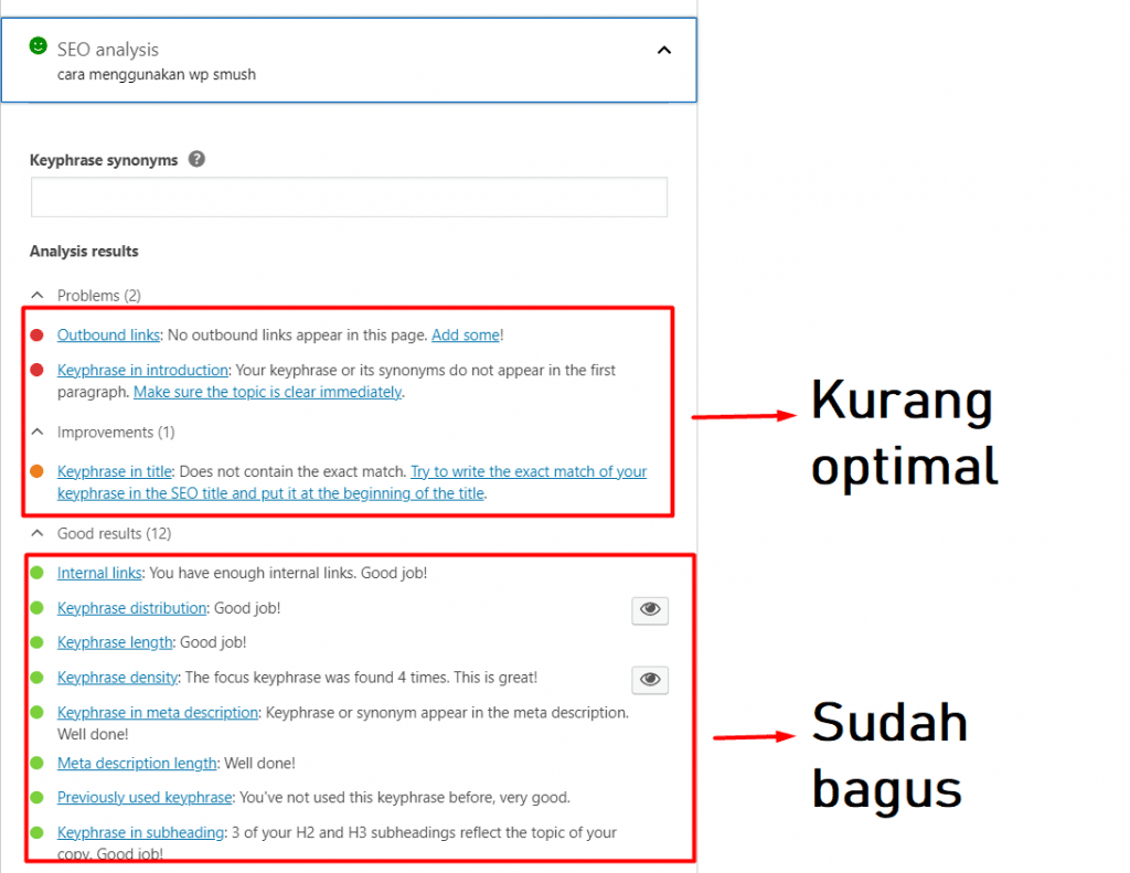 memanfaatkan-plugin-seo-sebagai-salah-satu-cara-membuat-artikel-seo-friendly